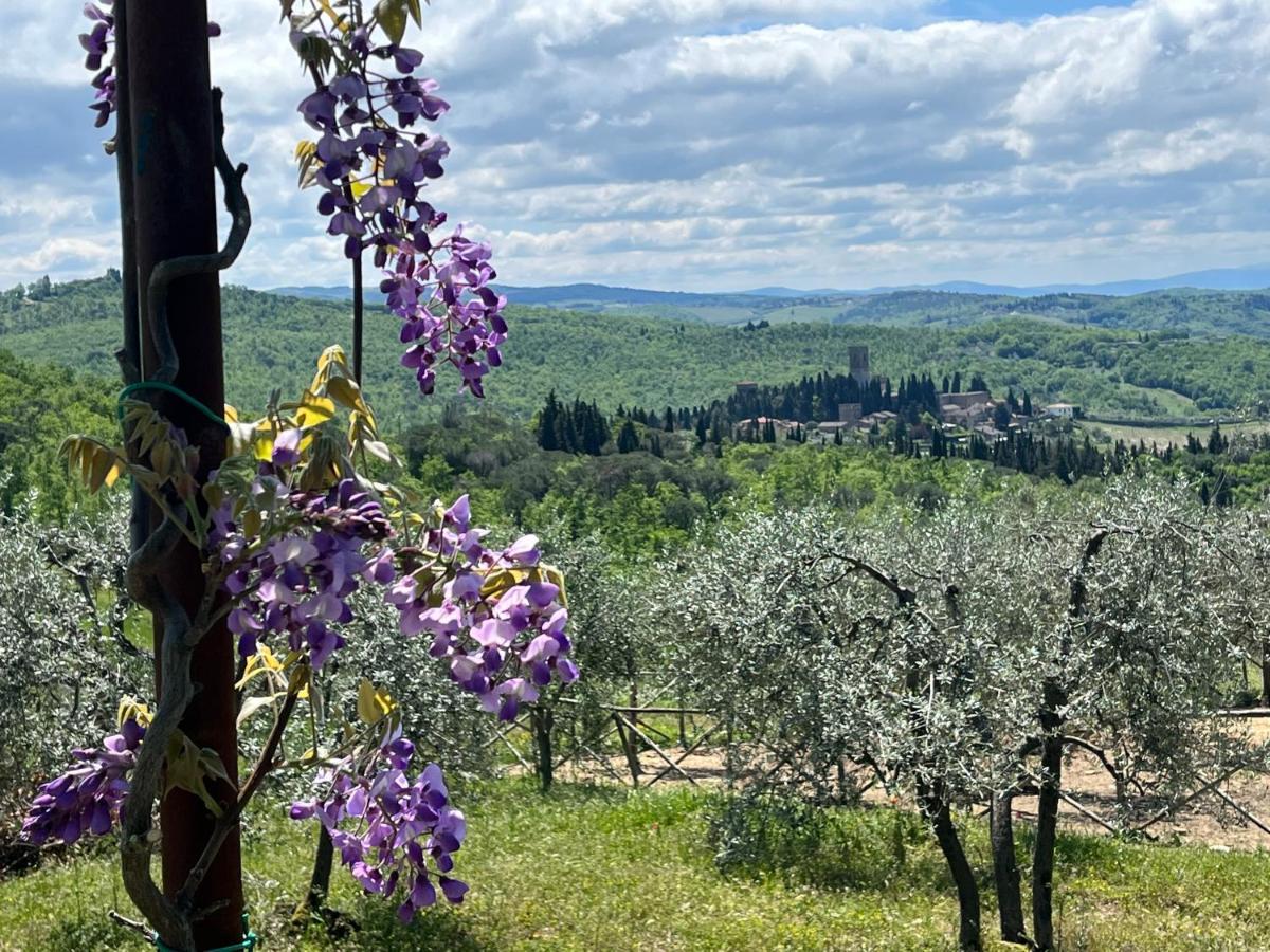 Il Fiorino Di Badia Appartement Badia A Passigano Buitenkant foto