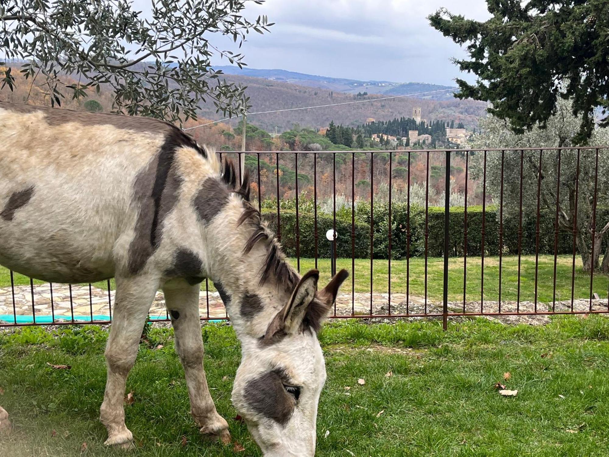 Il Fiorino Di Badia Appartement Badia A Passigano Buitenkant foto