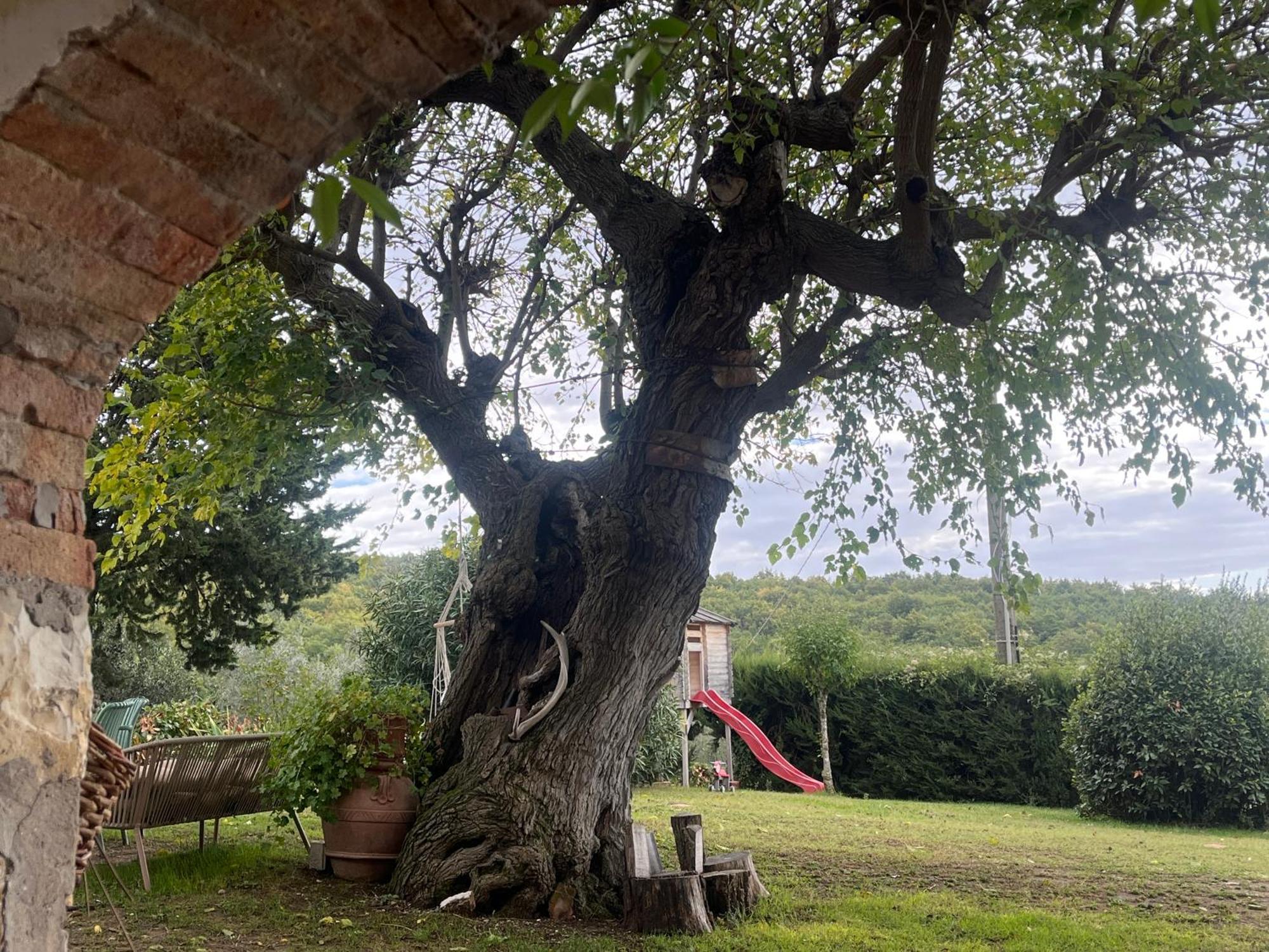 Il Fiorino Di Badia Appartement Badia A Passigano Buitenkant foto
